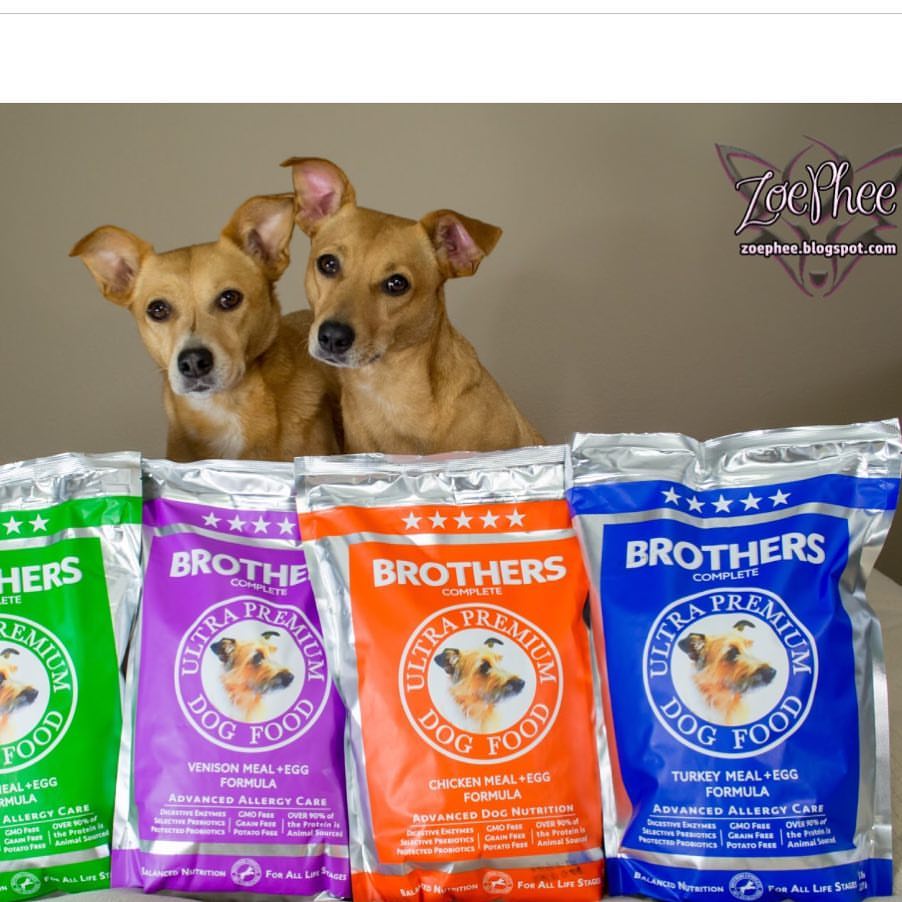 Brothers Pet Nutrition Weston » Pet store in Weston FL