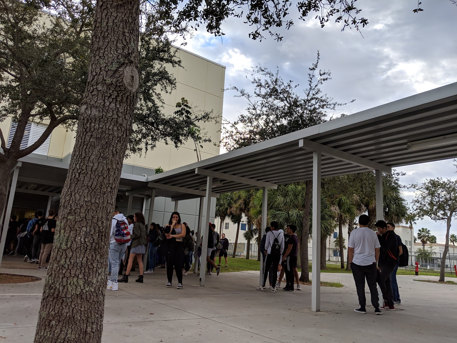 Cypress Bay High / Homepage