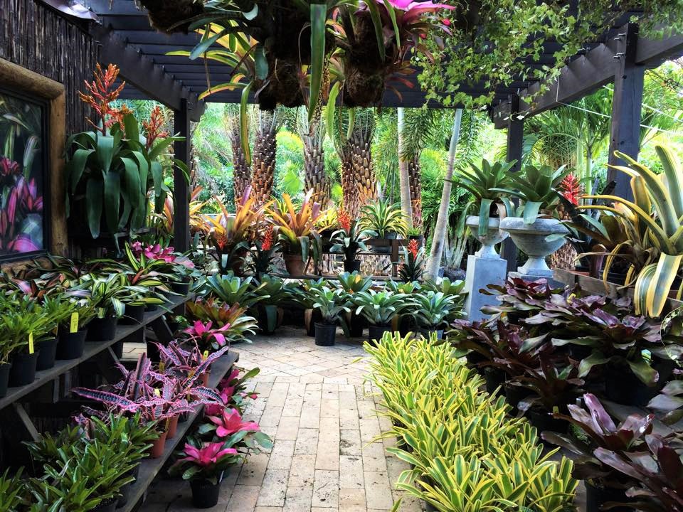 PERFECT CHOICE NURSERY Store Weston Local Guide Powered by Radius®