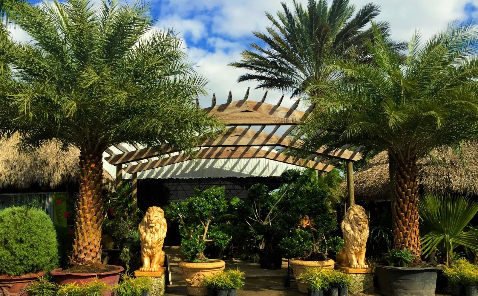 PERFECT CHOICE NURSERY Weston Local Guide Powered by Radius®