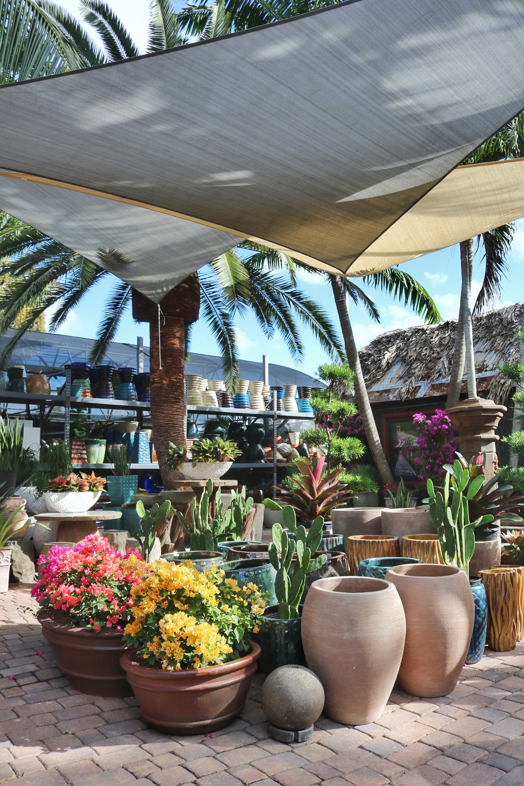 PERFECT CHOICE NURSERY Weston Local Guide Powered by Radius®