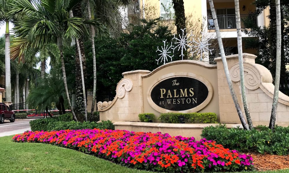 Palms at Weston