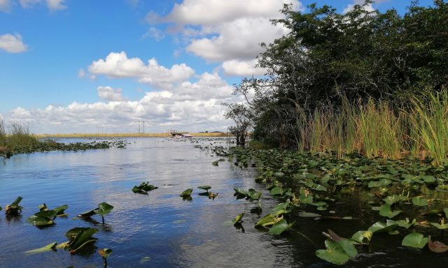 Everglades Holiday Park Airboat Tours and Rides