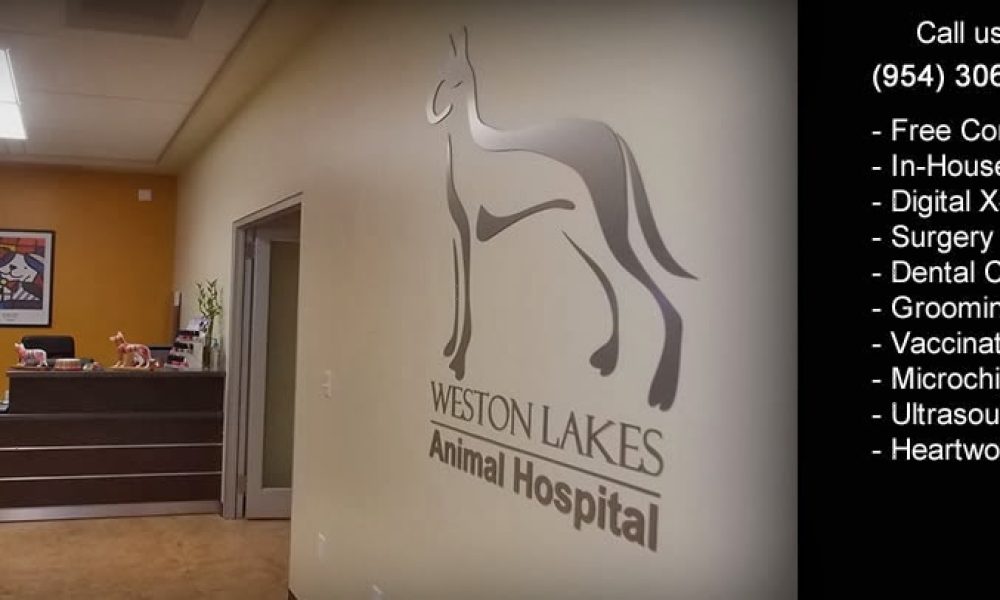 Weston Lakes Animal Hospital