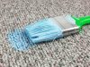 X & T Carpet Cleaning Weston