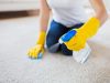 X & T Carpet Cleaning Weston