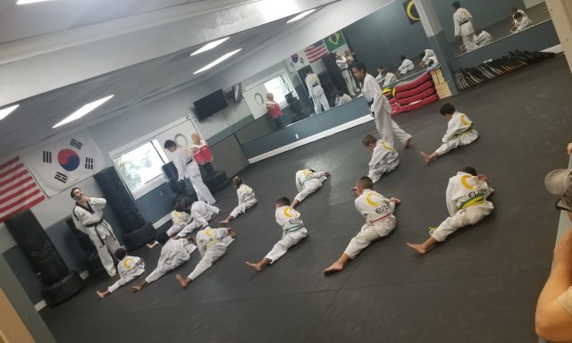 Elite Martial Arts Weston