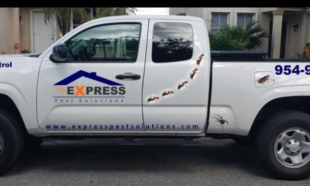 Express Pest Solutions, Inc