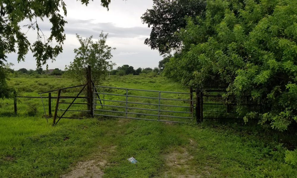 Governor LeRoy Collins Farm Park