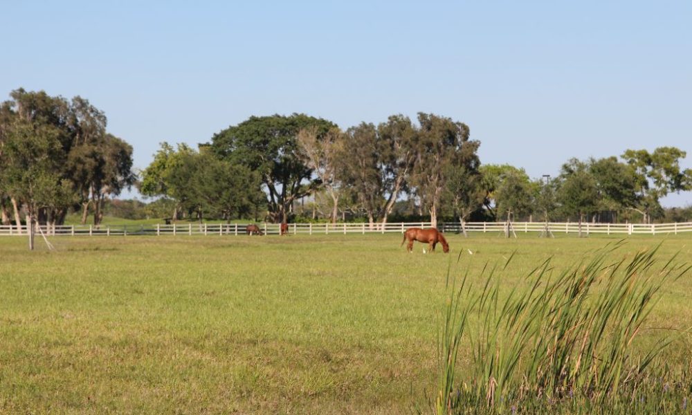 Green Glades Ranch