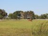 Green Glades Ranch