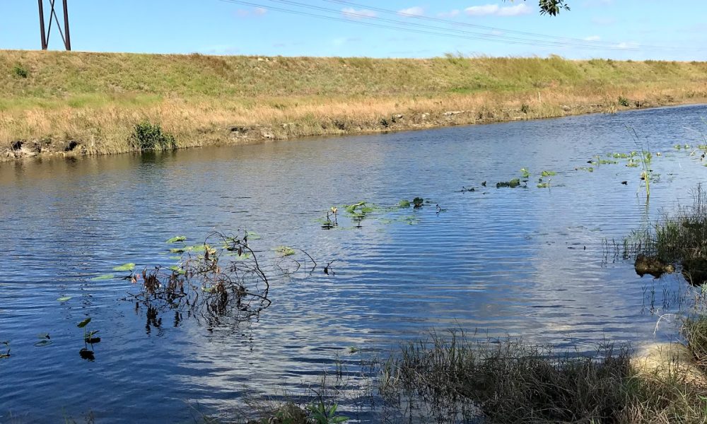 Markham Park Mountain Bike Trails