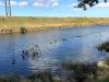 Markham Park Mountain Bike Trails