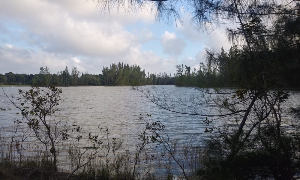 Markham Park Mountain Bike Trails