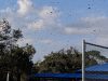 Playground at Tequesta Trace