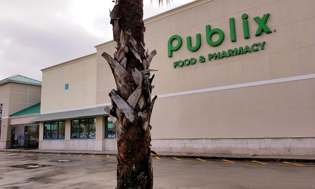 Publix Super Market at Regency Square