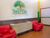 Tree of Life Christian Academy Preschool