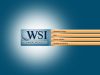 WSI Online Solutions