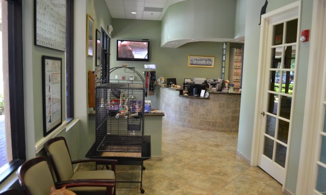 Weston Animal Hospital