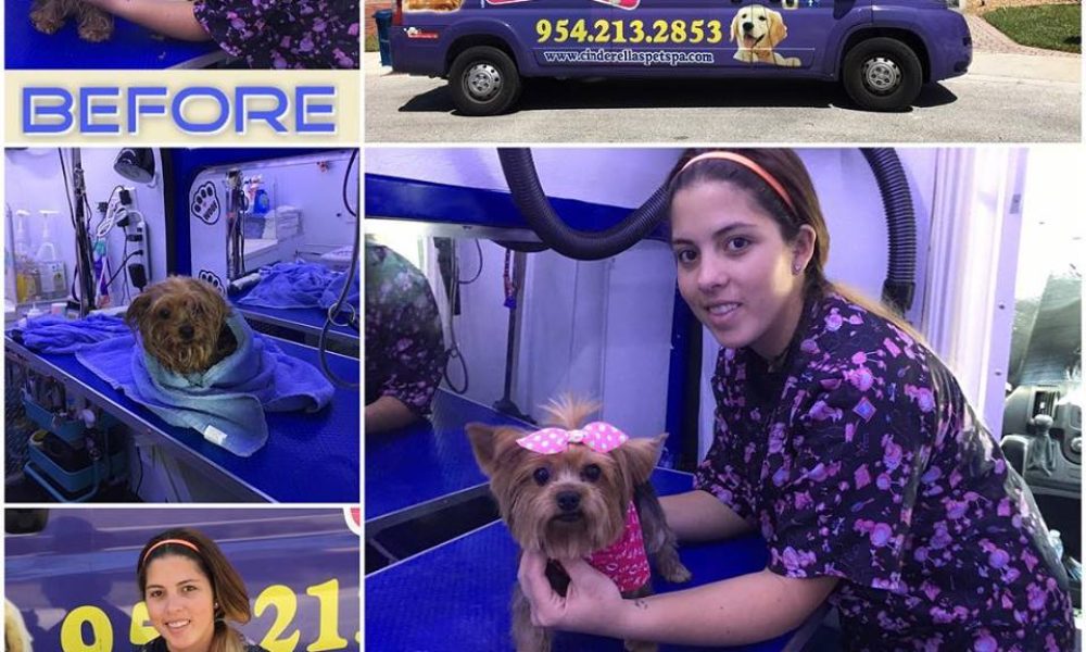 Cinderella's Mobile Pet Spa