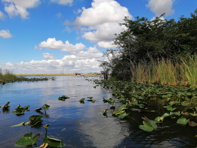 Everglades Holiday Park Airboat Tours and Rides