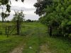 Governor LeRoy Collins Farm Park