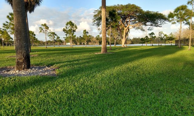 Markham Park Oasis