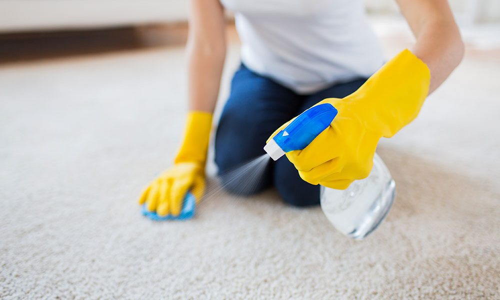 X & T Carpet Cleaning Weston