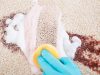 X & T Carpet Cleaning Weston