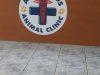 All Friends Animal Clinic