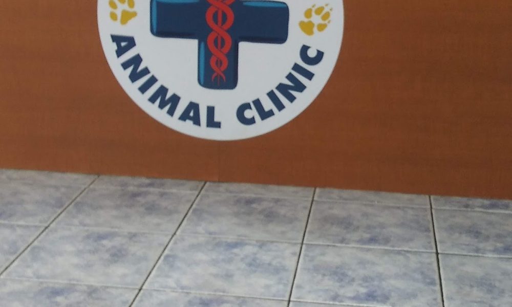 All Friends Animal Clinic