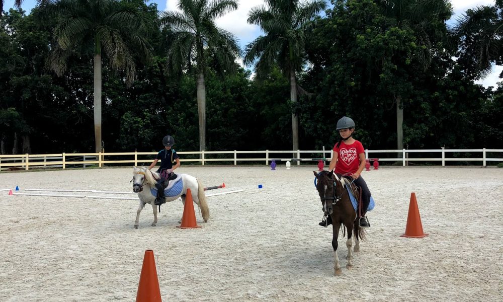 Capriola Equestrian