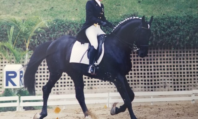 Cecilia Armas Equestrian