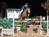 DM Showjumping & Dressage