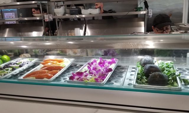 Dr. Limon Ceviche Bar – Weston