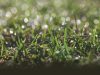 GreenSource Landscape & Sports Turf