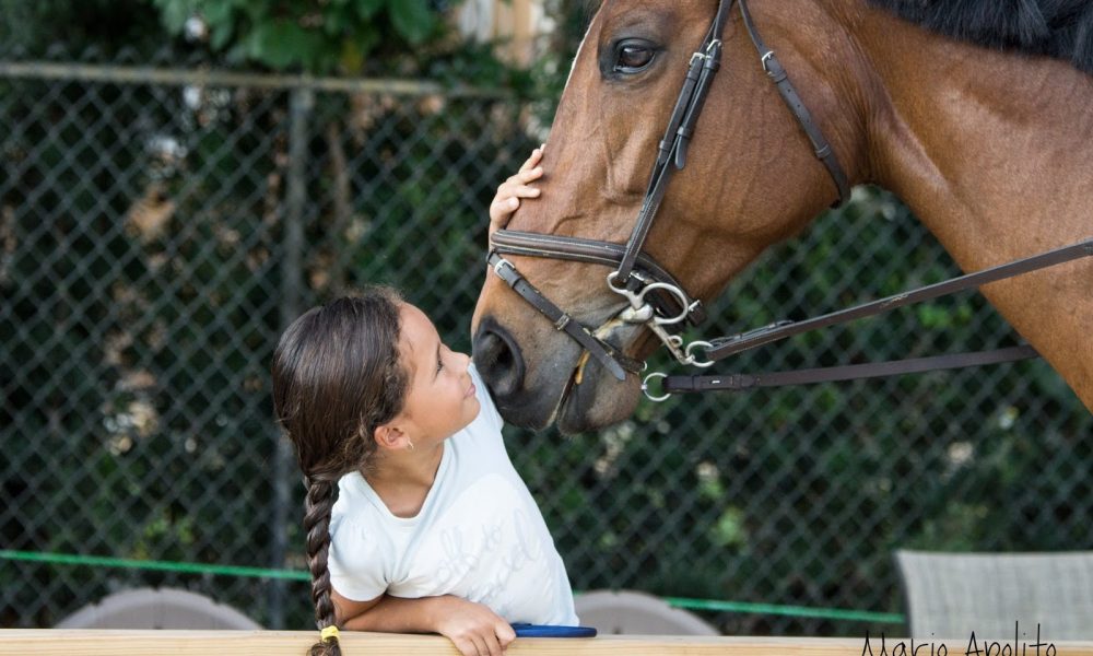 Horse Club Florida