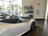 Lamborghini Broward Parts (954)618-0145