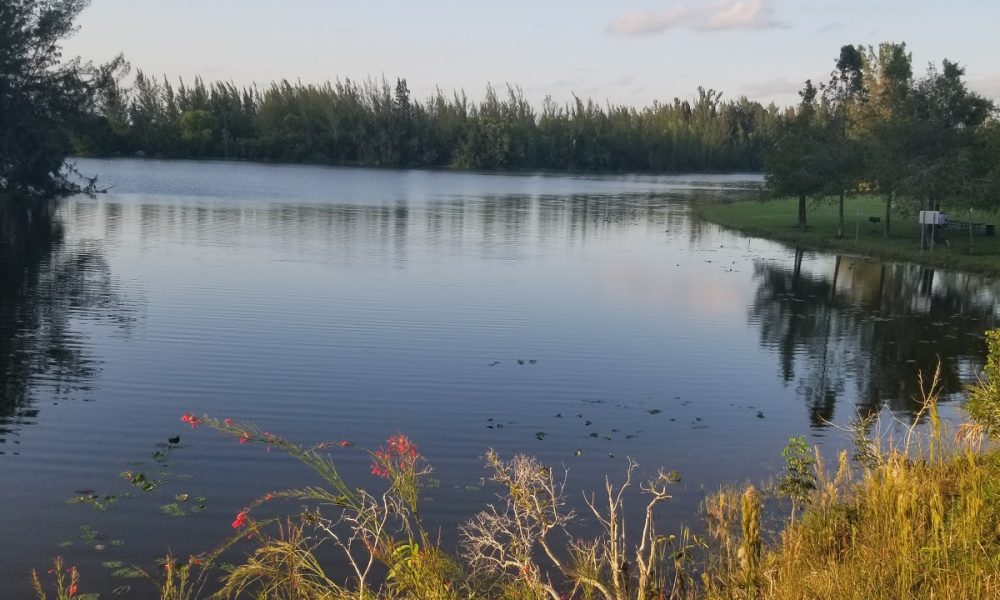 Markham Park