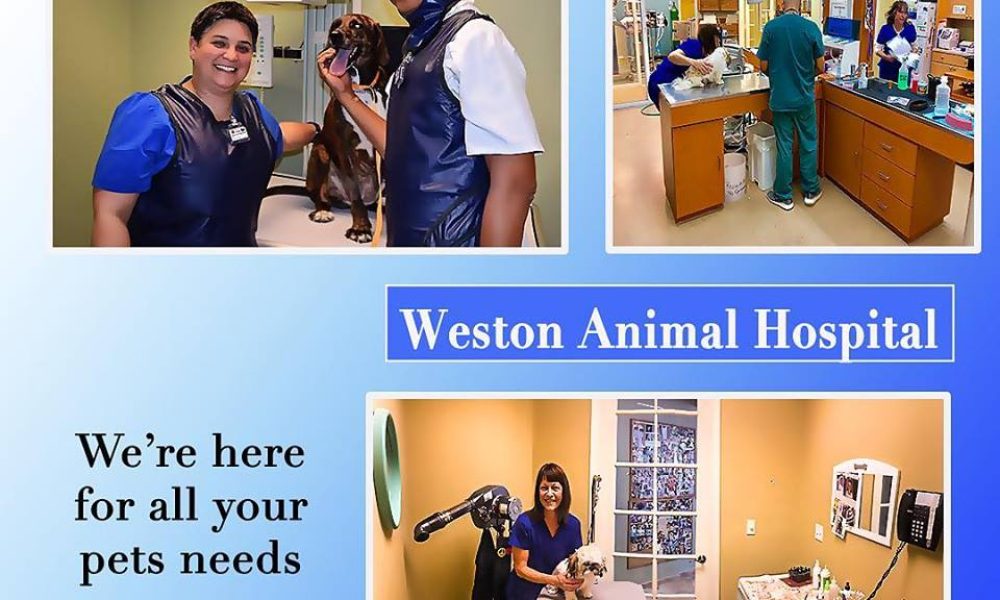 Weston Animal Hospital