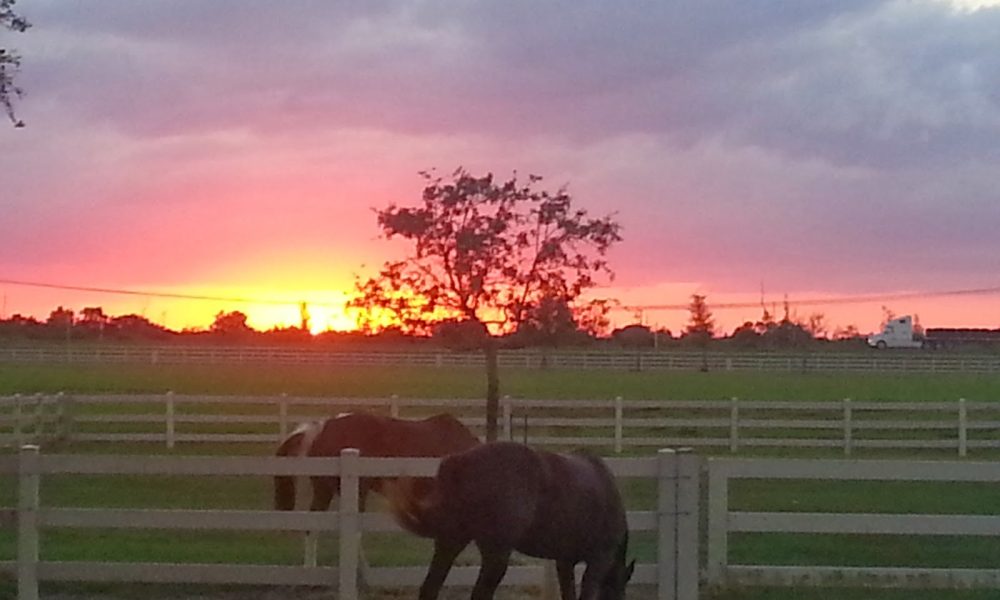 Green Glades Ranch