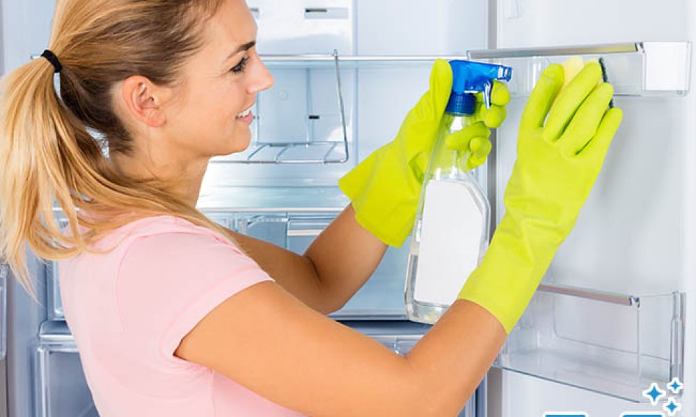 Oven Cleaning Joy