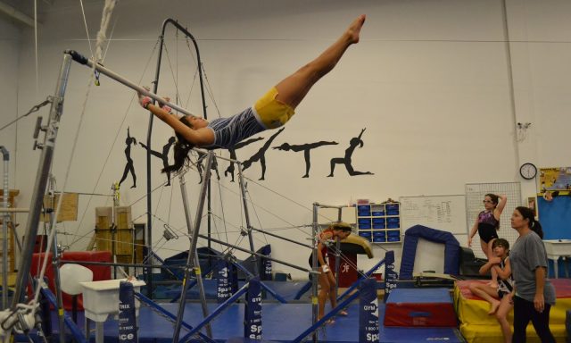 Coral Reef Gymnastics And Cheer