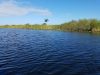 Everglades VIP Tour