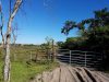 Governor LeRoy Collins Farm Park