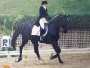 Cecilia Armas Equestrian