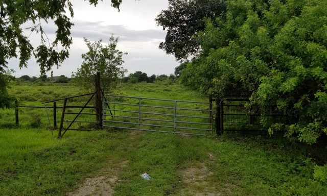 Governor LeRoy Collins Farm Park