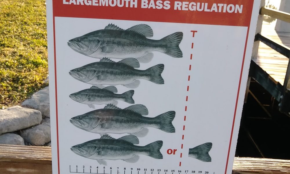 North Boat Ramp at Markham Park