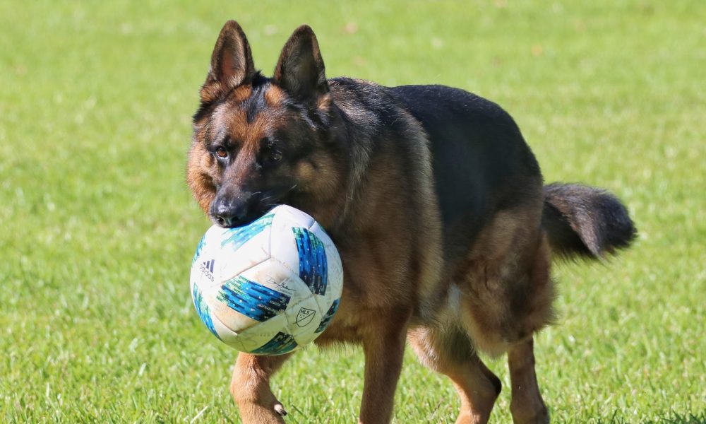 North Boat Ramp at Markham Park