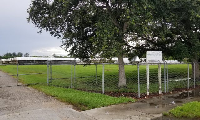 Florida Aquatic Nurseries, Inc.